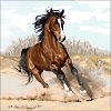  Goblenuri pictate - Animale,Cal in galop-18 x 24