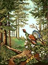  Goblenuri pictate - Animale,Cocos de munte-18 x 24